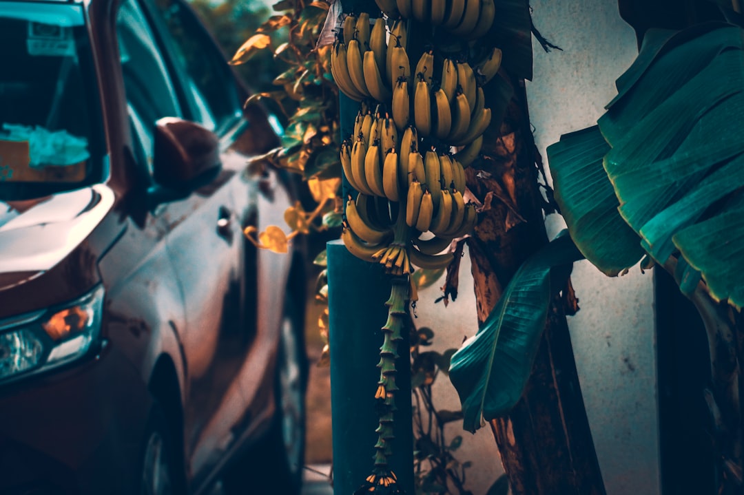 Photo Banana car